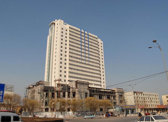 Puyang Depo Building