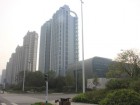 Days Qi Wenhai International