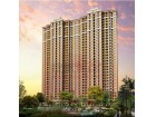 Vanke Group - Gold Name County